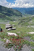 The road from Leh to Manali 